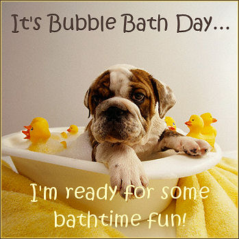 Bubble Bath Puppy