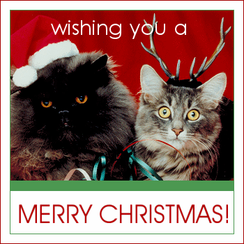 Christmas - *Merry Christmas! - Cats*