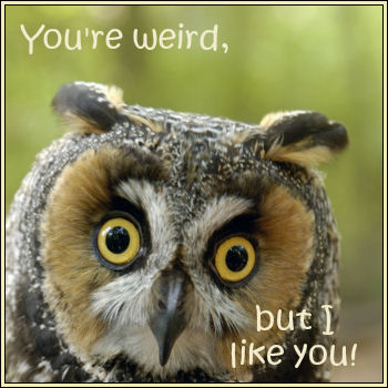 You're Weird But...