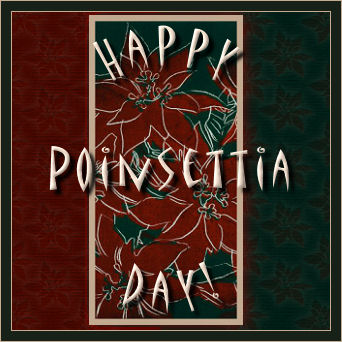 Happy Poinsettia Day!