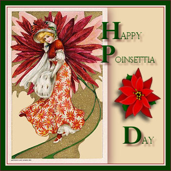 Vintage - Poinsettia Day